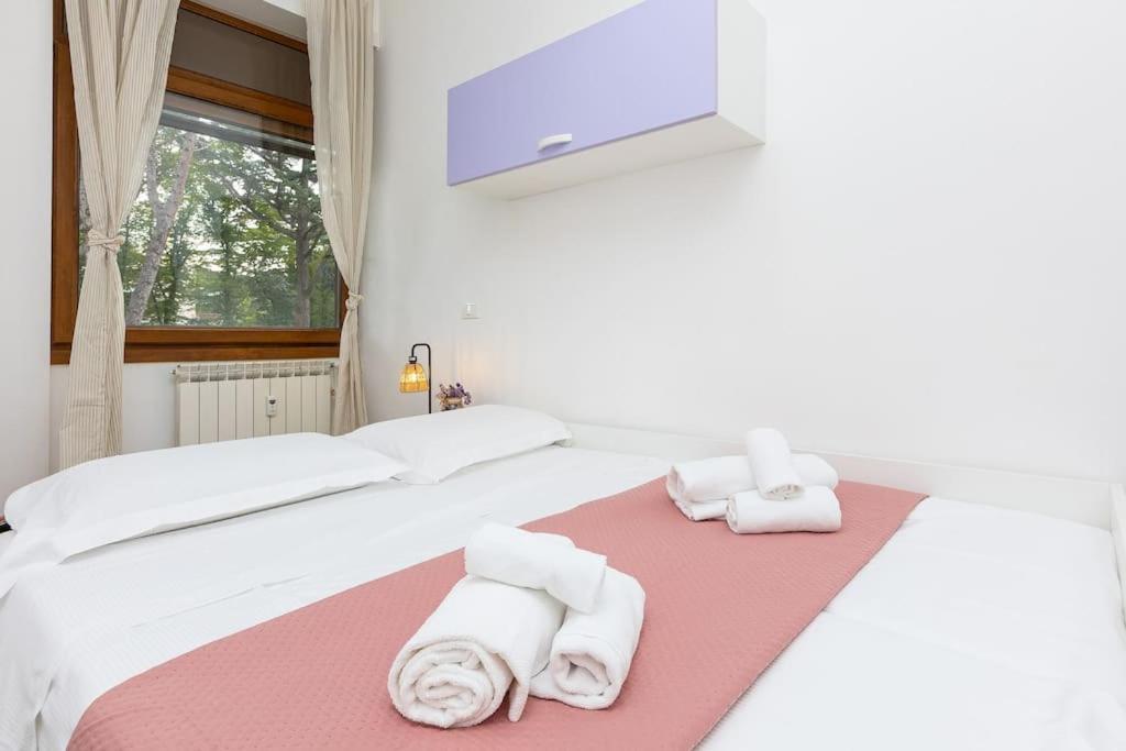 Casa Nel - Oasi Di Relax E Comfort A * Rom